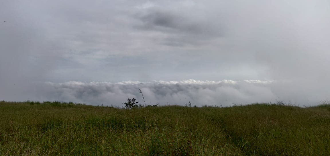 WhatsApp Image 2024-10-21 at 17.47.17_f732a146